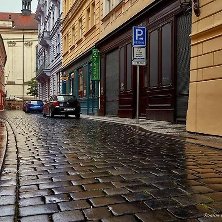 Near The Charles Bridge Apartamento Praga